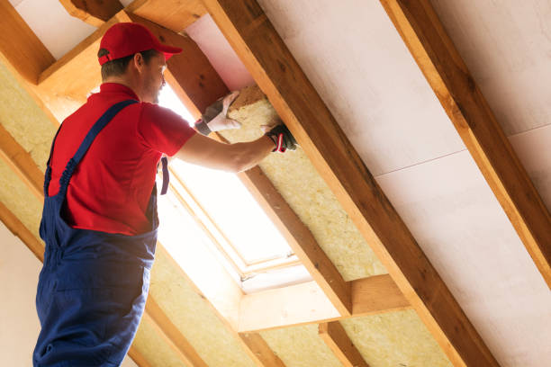 Best Batt and Roll Insulation  in Plainview, MN